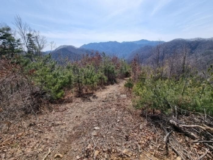 충청남도 금산군 남이면 건천리 산11