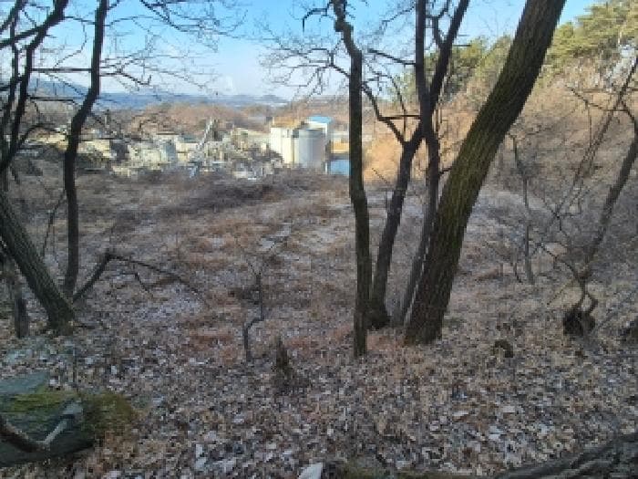 세종특별자치시  부강면 갈산리 397