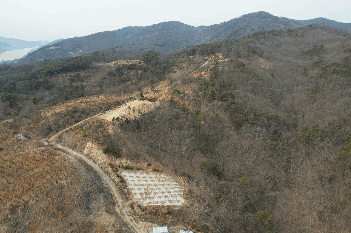 세종특별자치시  장군면 금암리 391-21 외 12 필지