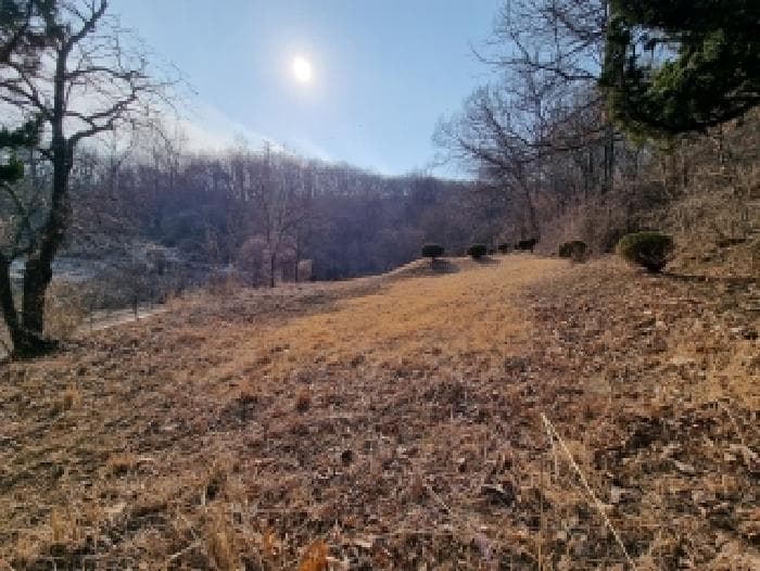 충청남도 금산군 복수면 지량리 415