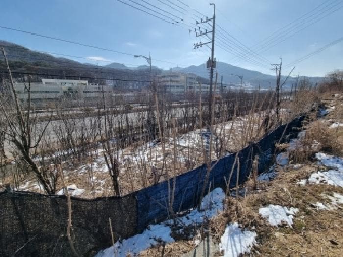 대전광역시 동구 삼정동 410-4