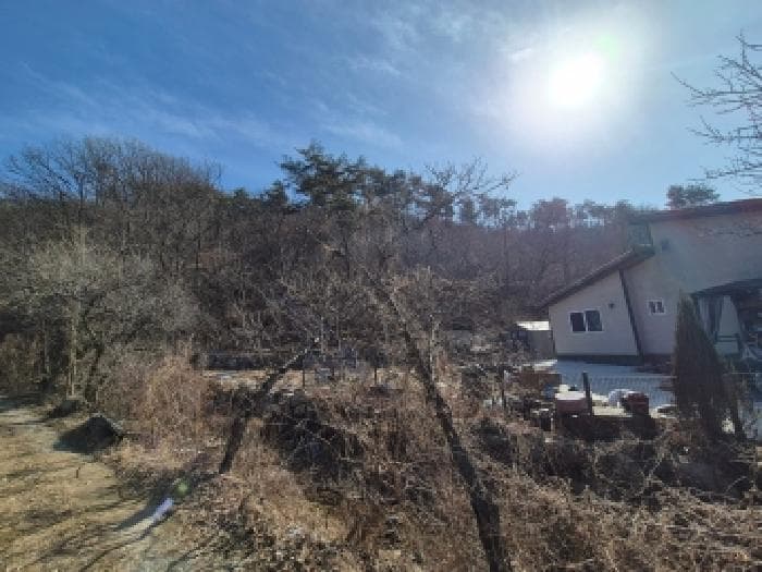 세종특별자치시  장군면 금암리 산23-22