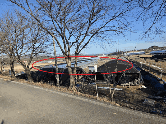 충청남도 금산군 금성면 파초리 166-3