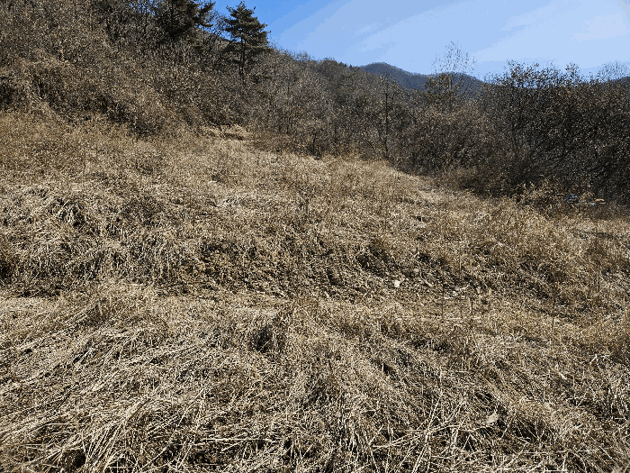 충청남도 금산군 군북면 산안리 118