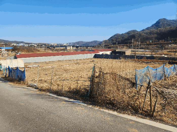 세종특별자치시  금남면 부용리 540-2