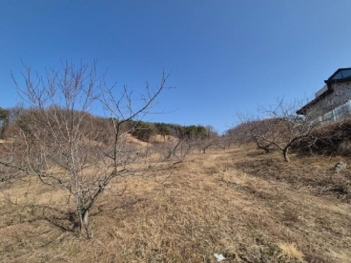 세종특별자치시  장군면 대교리 233-6 외 4 필지