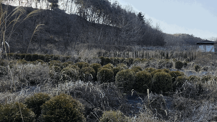 세종특별자치시  연서면 청라리 290
