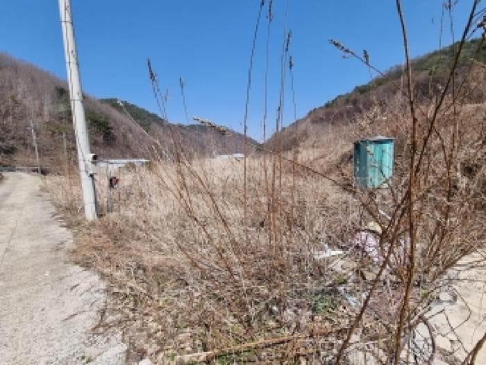 충청남도 금산군 진산면 묵산리 270
