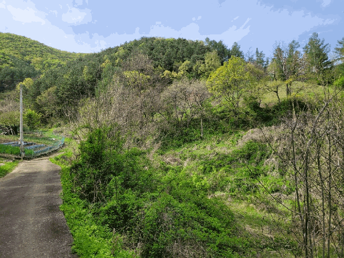 충청남도 금산군 진산면 교촌리 454