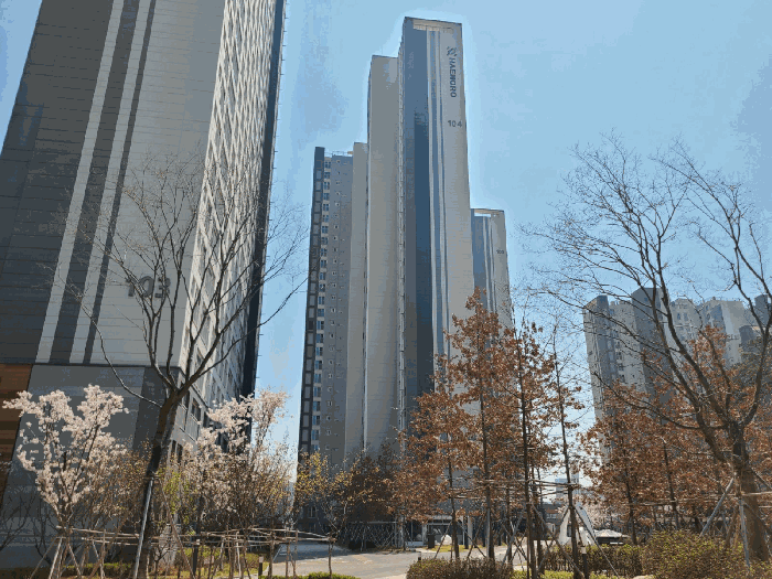 대전광역시 중구 선화동 895 대전해모로더센트라 104동 7층701호