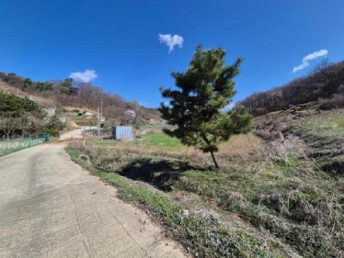 세종특별자치시  장군면 대교리 산2