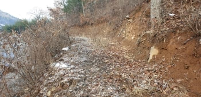 충청남도 예산군 예산읍 향천리 15-5 외 2 필지