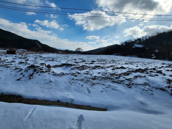 충청남도 예산군 덕산면 상가리 372 외 1 필지