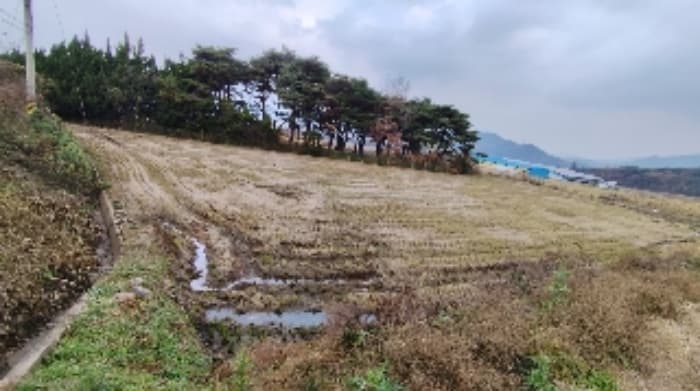 충청남도 보령시 청라면 의평리 156-1