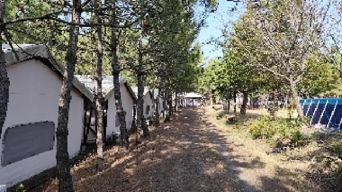 충청남도 서천군 서면 월호리 78-1 외 1 필지