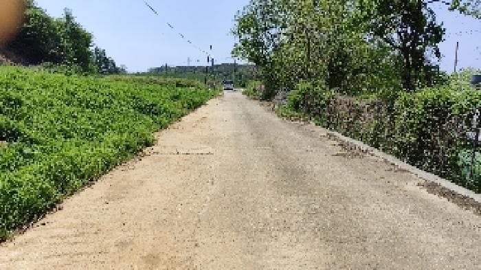충청남도 홍성군 은하면 대판리 179-1 외 1 필지
