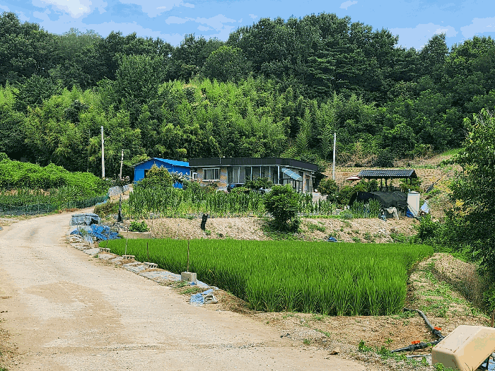 충청남도 홍성군 금마면 부평리 592