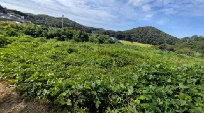 충청남도 보령시 천북면 사호리 777-1 외 2 필지