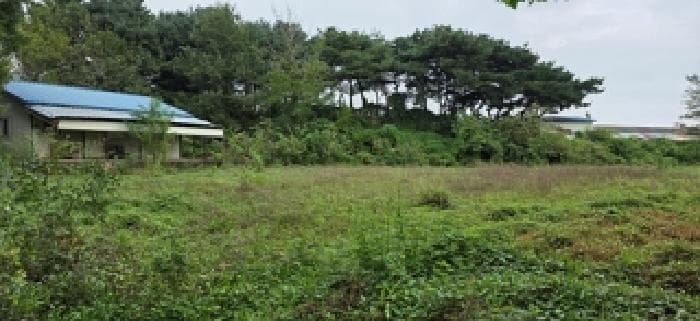 충청남도 홍성군 홍성읍 대교리 135-1 외 2 필지