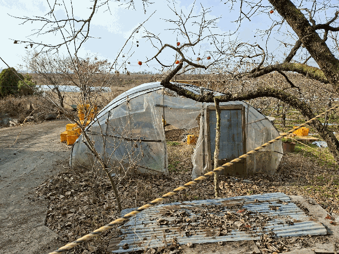 충청남도 예산군 예산읍 석양리 38-1 외 1 필지