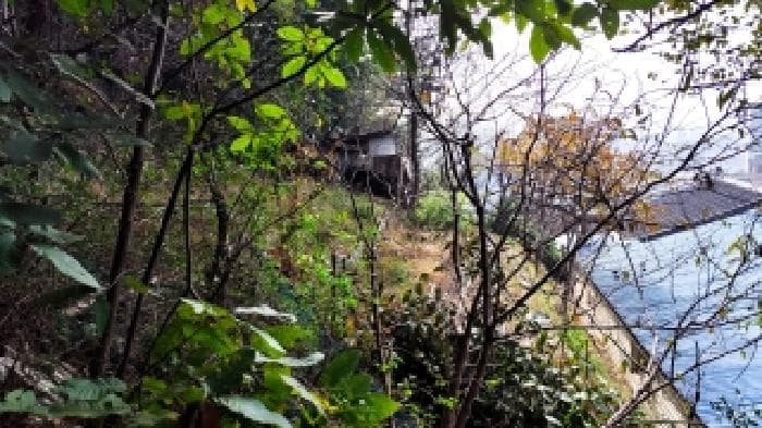 충청남도 보령시 대천동 459-4 외 3 필지