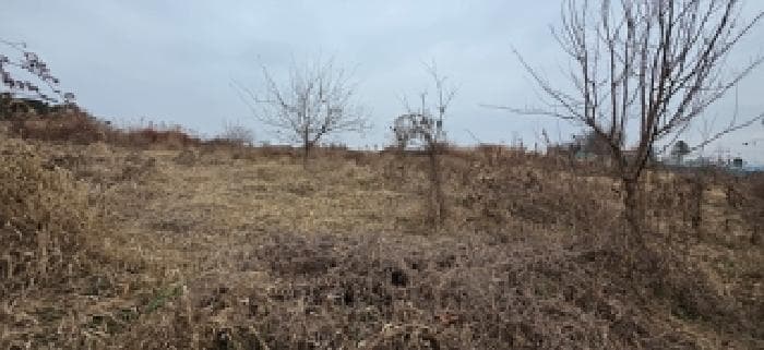 충청남도 홍성군 홍성읍 소향리 150