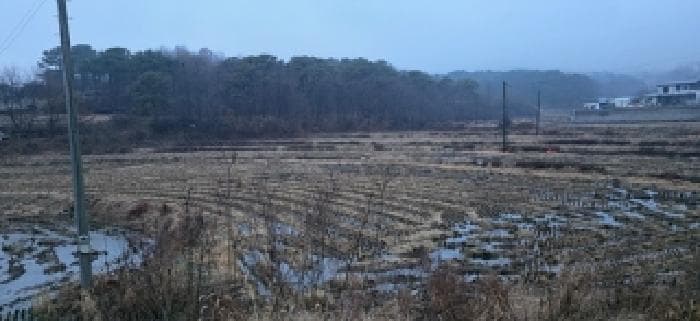 충청남도 홍성군 홍성읍 소향리 288-2 외 1 필지
