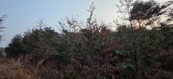 충청남도 홍성군 서부면 거차리 산106-2