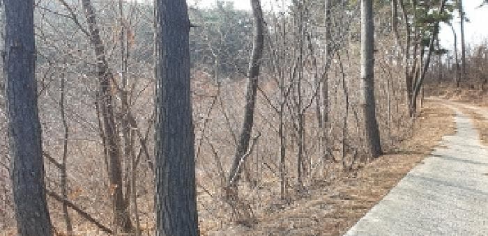 충청남도 보령시 오천면 삽시도리 산16-3