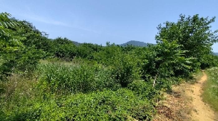 충청남도 홍성군 광천읍 신진리 356 외 1 필지