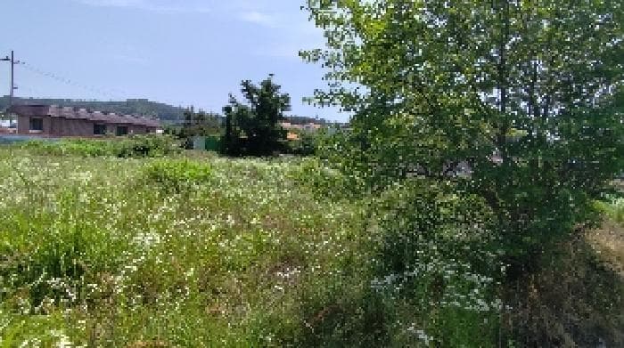 충청남도 보령시 남포면 월전리 539-9