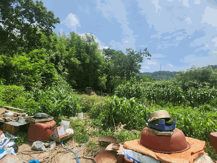 충청남도 보령시 오천면 소성리 572