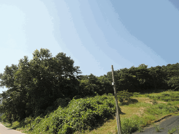 충청남도 홍성군 갈산면 행산리 207-3 외 2 필지