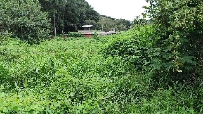 충청남도 보령시 청소면 장곡리 32