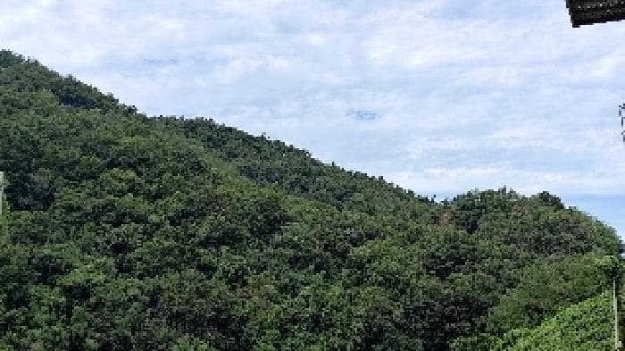 충청남도 서천군 종천면 신검리 산36-4