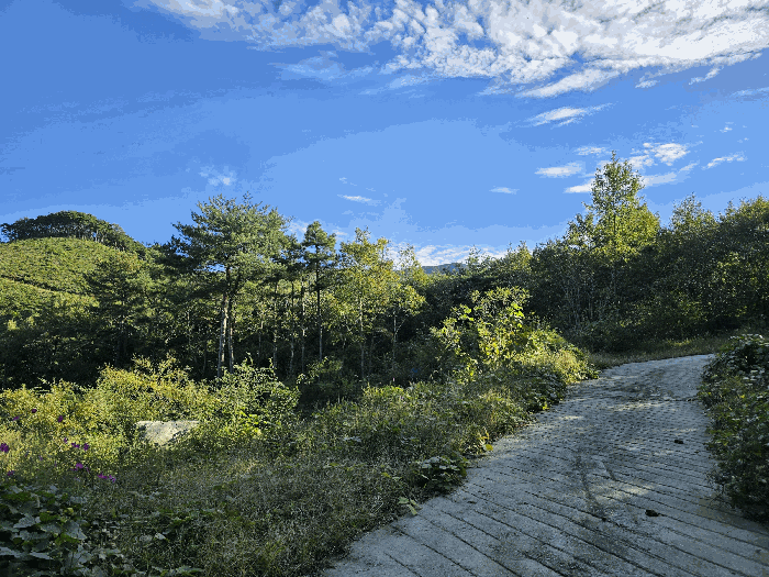 충청남도 보령시 청소면 성연리 산45-1
