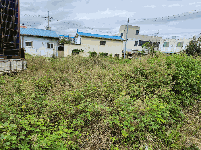 충청남도 예산군 예산읍 신례원리 313-2