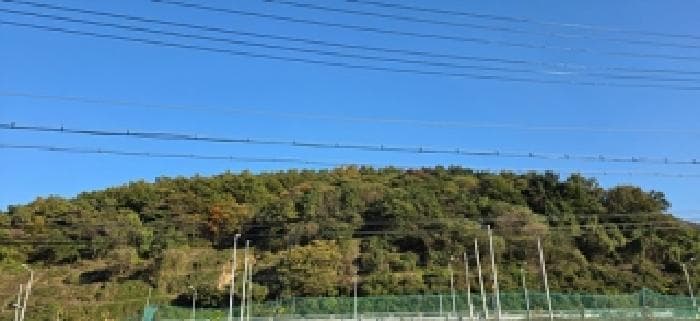 충청남도 예산군 덕산면 광천리 82