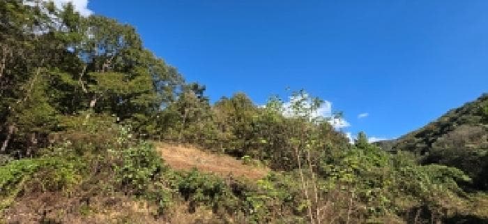 충청남도 예산군 대술면 이티리 산148