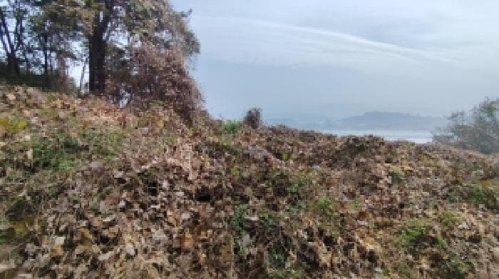 충청남도 홍성군 은하면 유송리 416-5 외 1 필지