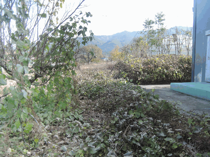 충청남도 보령시 남포면 창동리 162-1 외 2 필지
