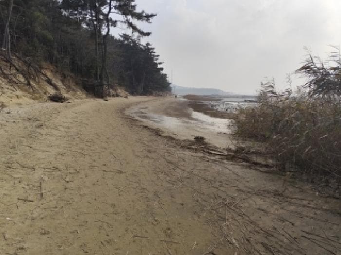 충청남도 서천군 장항읍 송림리 731-5