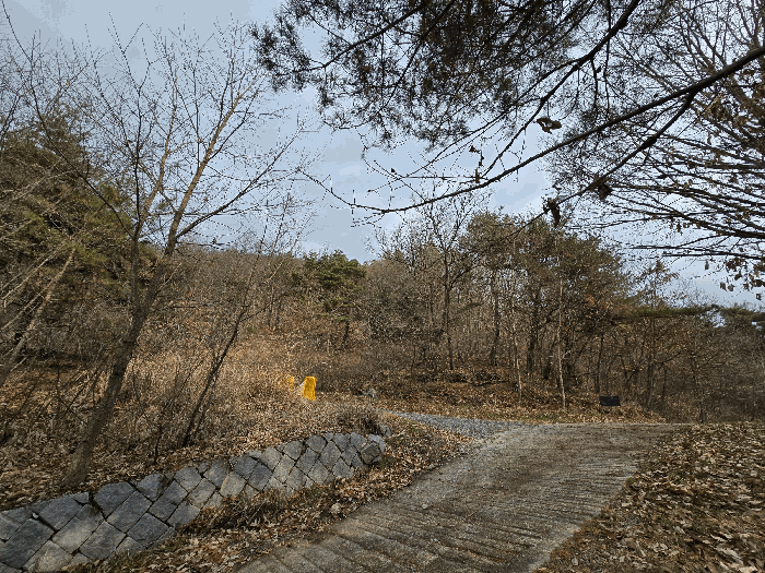 충청남도 예산군 광시면 마사리 산9