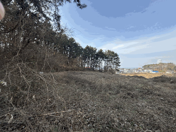 충청남도 보령시 웅천읍 관당리 816-7