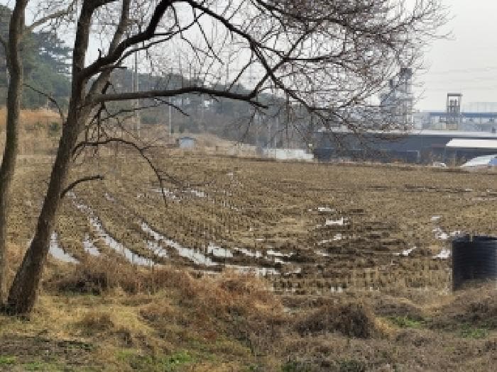 충청남도 보령시 주교면 은포리 248 외 1 필지