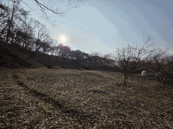 충청남도 보령시 청라면 내현리 35
