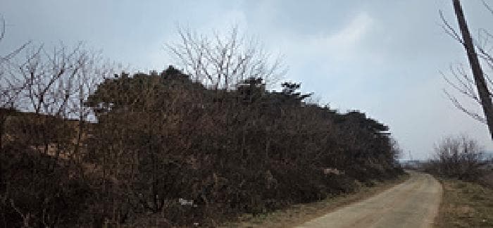 충청남도 예산군 삽교읍 이리 560-9