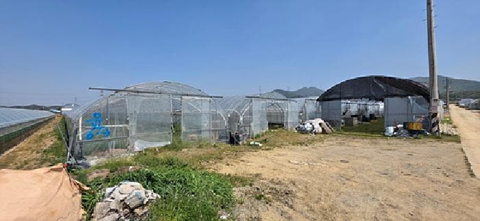 충청남도 예산군 예산읍 궁평리 509-9