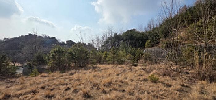 충청남도 예산군 덕산면 신평리 317-5