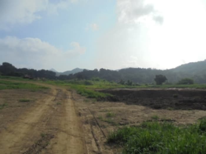 충청남도 부여군 은산면 가곡리 73-1 외 2 필지